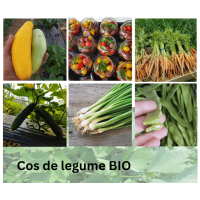 *Cos de legume certificate ECO, aprox 5.5 KG + ROSII